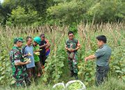 Dandim 0619/Purwakarta Kunjungi Demplot Pertanian di Desa Cianting Utara