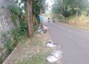 Warga Yang Melintas Keluhkan Sampah Dipinggir Jalan Desa Citalang, Karena Baunya dan Bisa Membahayakan Pengguna Lalin