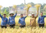 Penjabat Bupati Purwakarta Gelar Panen Raya di Desa Tanjungsari