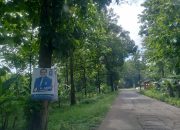Sampah Visual Ego Politik Rusak Alam Bukti Caleg Tidak Paham Aturan