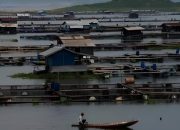 Nilai Ekonomis Sektor Perikanan Air Tawar Purwakarta Capai Ratusan Milyar Per Bulan