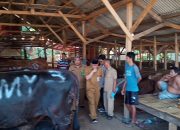 Pemanfaatan Lahan Perhutani di Desa Ciwareng Dikeluhkan Pedagang Sapi Resmi