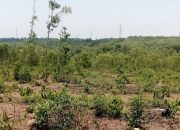 KPLHI Tetap Tolak Pendirian PT Wastec Internasional di Purwakarta